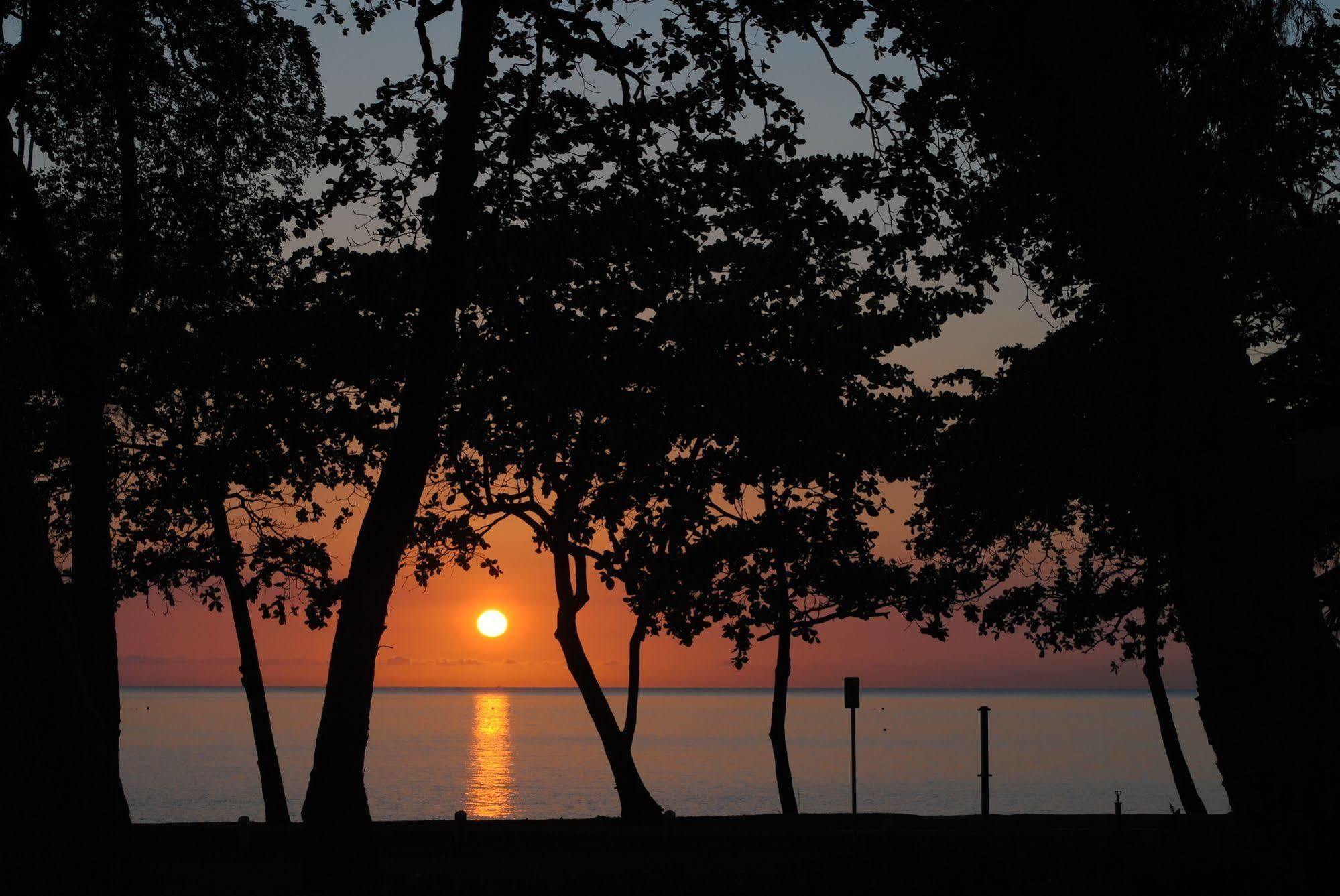 Beachview At Paradiso Aparthotel Palm Cove